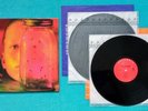 ALICE IN CHAINS Jar of Flies/SAP Orig. 1994 First U.S. Etched Vinyl LP NM Staley
