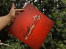 Number 1 Angel / Pop 2 by Charli Xcx (Record, 2018)