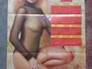Top Of The Pops `79 Hallmark Lp with Sexy Pin Up 1980 Calendar Poster  Nice