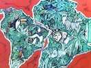 Caldera - Caldera LP (VG/VG) .