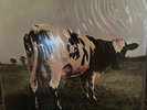 Pink Floyd-Atom Heart Mother-Sealed Original Master Recording