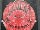 PANTERA I AM THE NIGHT 12
