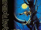 Iron Maiden: Fear Of The Dark (remastered 2015) (180g) (Limited Edition) -   -