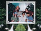 NOFX- Hofx 10-inch 