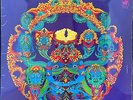 The Grateful Dead - Anthem of the Sun - Used Vinyl LP - Stereo