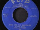 RICHARD BERRY & PHARAOHS: louie louie / you are my sunshine FLIP 7