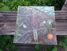 ORIGINAL '68 DRAGONFLY SELF TITLED S/T LP RARE PRIVATE PRESS PSYCH FUZZ EX  