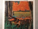 Neville Brothers  Fiyo on the Bayou  LP Vinyl  1981  A&M Records