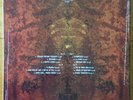 Pantera - Far Beyond Driven (2010) Record Store Day Limited Ed. 180 gram Vinyl