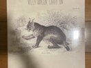 Willy Mason - Carry On LP New & Sealed. 2012 Pressing Fiction Records Indie Folk