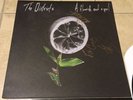 The Districts - Flourish and a Spoil Record Album AUTOGRAPHED SIGNED