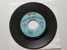 THE ESCAPADES - Mad Mad Mad / I Try So Hard 1966 GARAGE ROCK 7