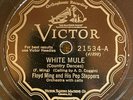 Victor 21534 Floyd Ming Pep Steppers TUPELO BLUES  1928 78 rpm COUNTRY great