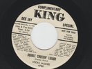 BLUES R&B ROCKERS- STICKS McGHEE - DOUBLE CROSSIN' LIQUOR - HEAR- BIO PROMO KING