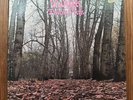TWINK Think Pink John Alder PSYCH ROCK EXPERIMENTAL PROG SIRE PROMO LP VG+ RARE