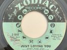 * RUBY ANDREWS Just Loving You / The Love I Need NORTHERN SOUL Zodiac 45 HEAR