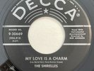 * SHIRELLES My Love Is A Charm/Slop Time GIRL GROUP DOO WOP SOUL Decca 45 HEAR