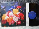Teardrop Explodes ex / mint UK LP Wilder