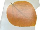 PETE JOLLY Seasons Gatefold PROMO White Label A&M 1970 NM