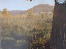 Andrew Bird Noble Beast 2x LP w/ mp3 download SEALED