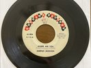 Dimples Jackson Where are You Gardena Records Rare Funk Soul 45