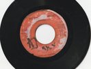 ROOTS REGGAE 45 SOUTH EAST MUSIC GLEN BROWN 