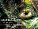 Pendulum Hold Your Colour (2018 edition)  (Vinyl) Limited  12