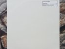 Throbbing Gristle - 2nd Annual Report LP 1977 RED Vinyl RE IR0002 2011