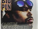 Big Pun (Punisher) - Capital Punishment 2LP Vinyl 2015 Gatefold NEW/SEALED