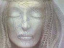 Emerson Lake And Palmer Brain Salad Surgery Vinyl Lp Signed By All 3 Members