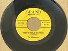 Silhouettes 1962 DOO WOP 45 Wish I Could Be There / Move On Over GRAND VG+ HEAR