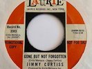 Garage 45 JIMMY CURTISS Gone But Not Forgotten/Psychedelic Situation HEAR Laurie