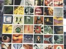 PEARL JAM   NO CODE LP   EPIC RECORDS E-67500   Nice