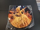 Madonna  Shine A Light  Vinyl Picture Disc Receiver Records RARE NEAR MINT