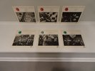 LIVING CHICAGO BLUES 1980 COMPLETE SERIES  6 LPs IN TOTAL ON ALLIGATOR