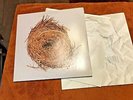 A Ghost Is Born 2004 Wilco usa canada '05 press rhino nonesuch 2 lp vinyl rare