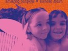 Siamese Dream by Smashing Pumpkins (Record, 2011)