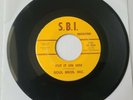 Soul Bros. Inc. Go On and Have Your Fun/Put It on Him *Rare 45 Vinyl