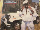 Kool Moe Dee How Ya Like Me Now Vinyl LP Sealed Jive Wild Wild West, No Respect