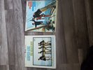The Beach Boys Surfer Girl Shut Down Capitol Records & Summer Days & Nights NM