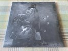 THE WHO QUADROPHENIA UK STEREO 2011 Remastered repress 2X180g Vinyl SEALED MINT