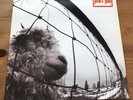 PEARL JAM - VS. LP 1st PRESS