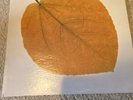 PETE JOLLY Seasons Gatefold PROMO White Label A&M 1970 NM