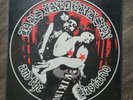 Lars Frederiksen And The Bastards - Viking - 180 Gram Vinyl Record NEW