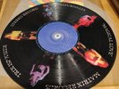 Saturnalia-Magical Love LP 1973 Stunning  3D Picture Disc With Booklet