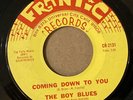 THE BOY BLUES: Coming Down To You 45 Frantic fuzz garage hear