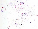 Clammbon/ Nujabes - Reflection Eternal/ Imaginary Folklore 12