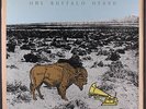 DEWEY MARTIN: one buffalo heard PICCADILLY 12