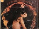 THE 31 FLAVORS HAIR LP NM US CROWN ORIGINAL VINYL 1969 PSYCH ROCK RARE