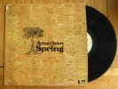 AMERICAN SPRING BRIAN WILSON BEACH BOYS 1972 VINYL LP ALBUM RECORD  VG++ / VG